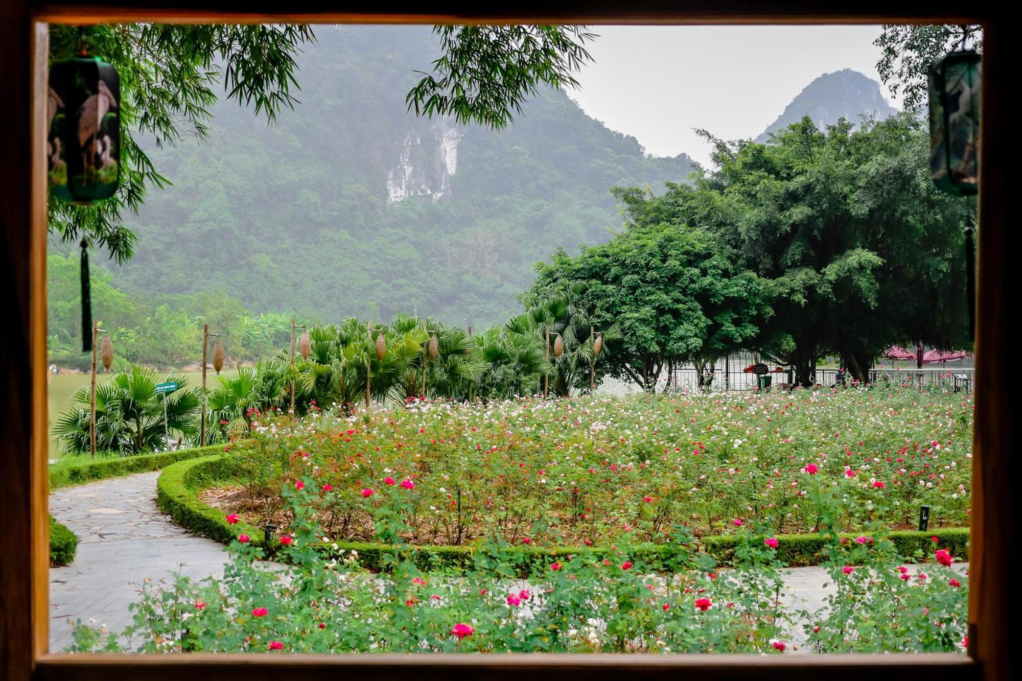 Thung Nham Resort Ninh Bình Extérieur photo
