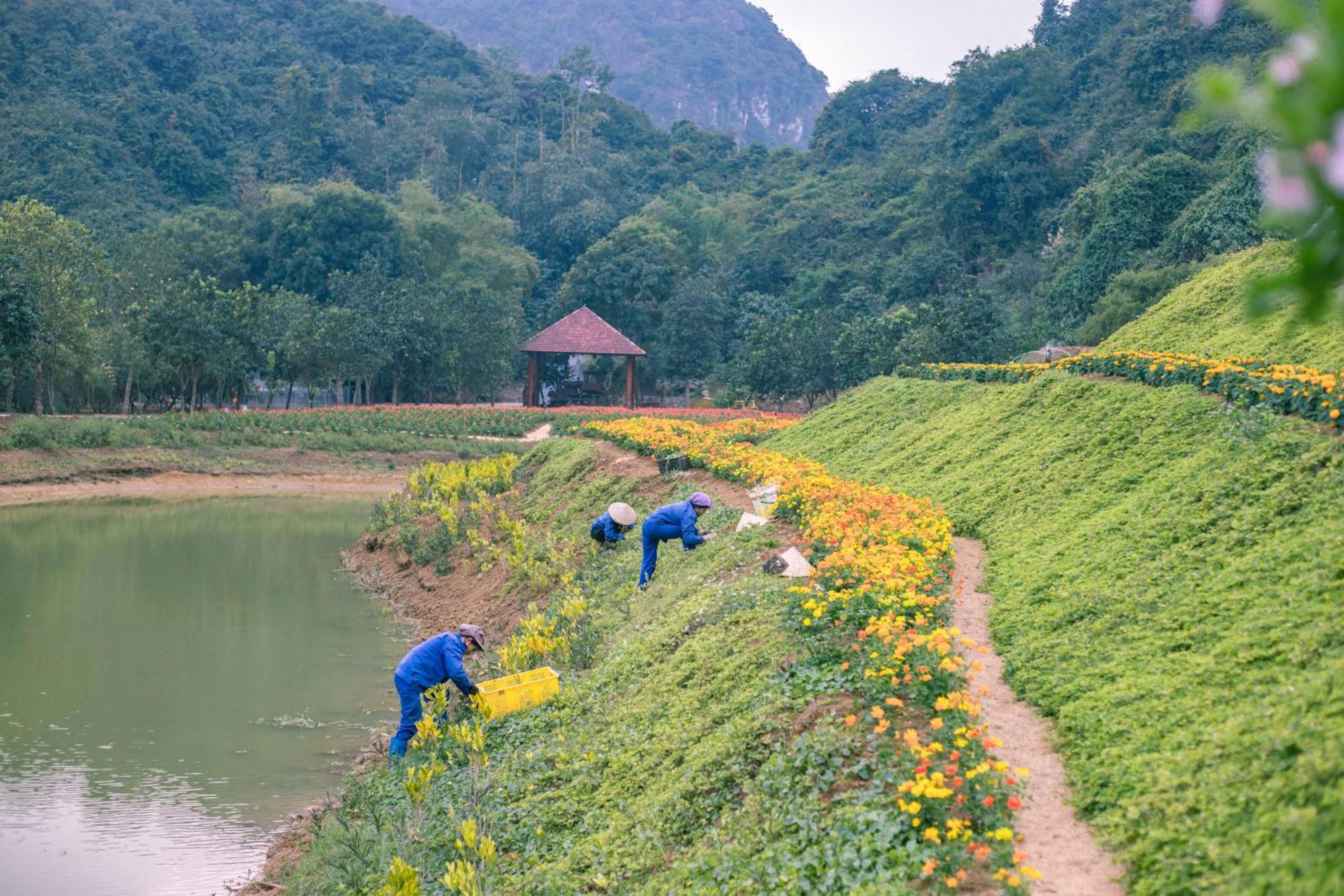 Thung Nham Resort Ninh Bình Extérieur photo