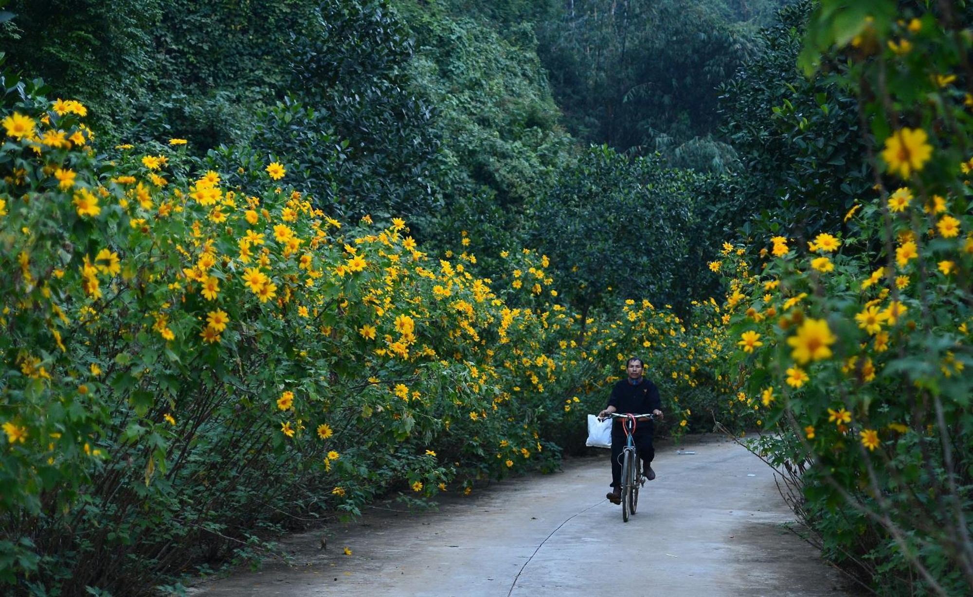 Thung Nham Resort Ninh Bình Extérieur photo